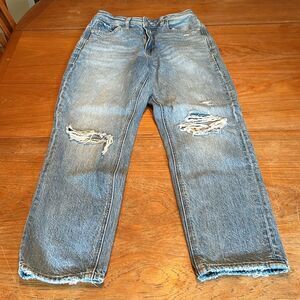 American Eagle Mom Jean